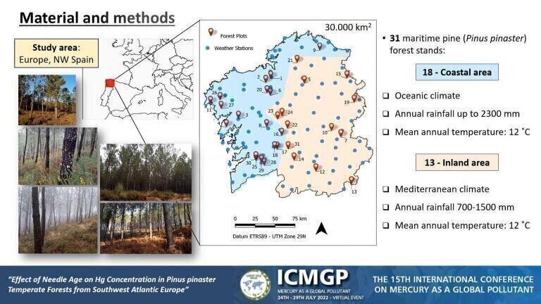 Effect of Needle Age on Hg Concentration in Pinus pinaster Temperate Forests from southwest Atlantic Europe